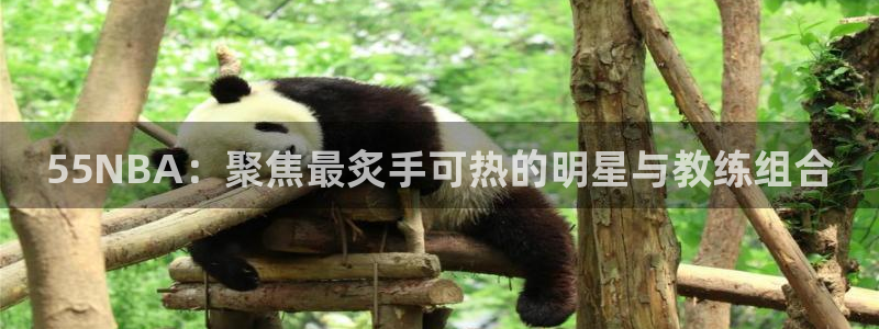 55NBA：聚焦最炙手可热的明星与教练组合