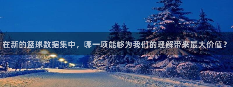 在新的篮球数据集中，哪一项能够为我们的理解带来最大价值？