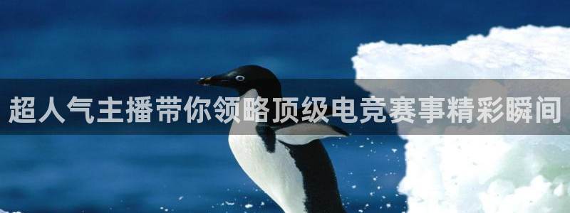超人气主播带你领略顶级电竞赛事精彩瞬间