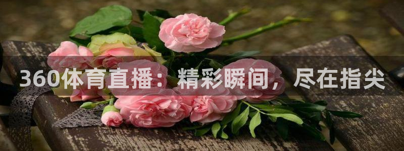 360体育直播：精彩瞬间，尽在指尖
